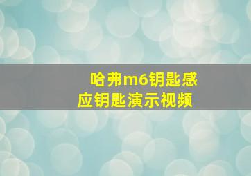 哈弗m6钥匙感应钥匙演示视频