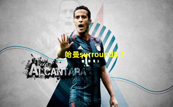 哈曼surround5.1