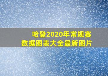 哈登2020年常规赛数据图表大全最新图片