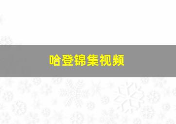 哈登锦集视频