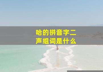 哈的拼音字二声组词是什么