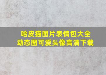 哈皮猫图片表情包大全动态图可爱头像高清下载