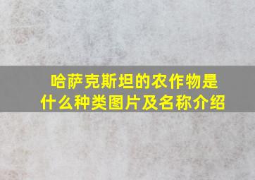 哈萨克斯坦的农作物是什么种类图片及名称介绍