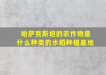 哈萨克斯坦的农作物是什么种类的水稻种植基地