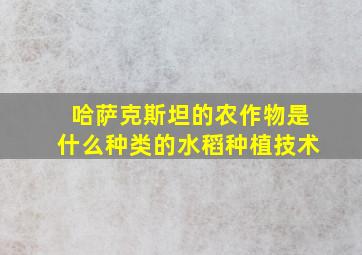 哈萨克斯坦的农作物是什么种类的水稻种植技术