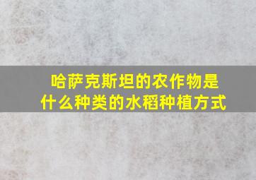 哈萨克斯坦的农作物是什么种类的水稻种植方式