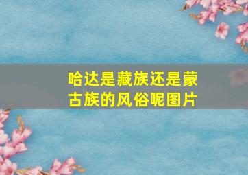 哈达是藏族还是蒙古族的风俗呢图片