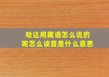 哈达用藏语怎么说的呢怎么读音是什么意思