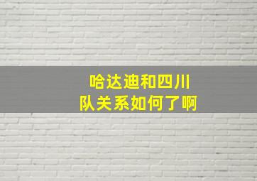 哈达迪和四川队关系如何了啊