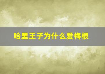 哈里王子为什么爱梅根