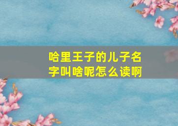 哈里王子的儿子名字叫啥呢怎么读啊