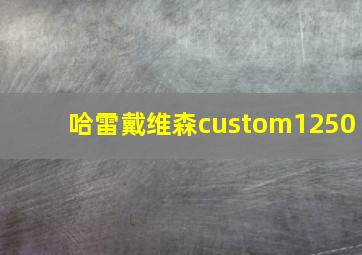 哈雷戴维森custom1250