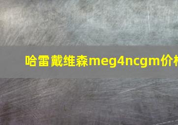 哈雷戴维森meg4ncgm价格