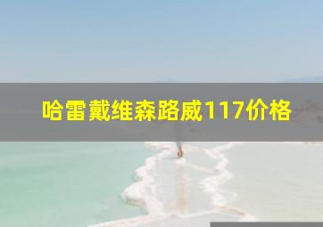 哈雷戴维森路威117价格