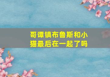 哥谭镇布鲁斯和小猫最后在一起了吗