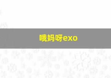 哦妈呀exo