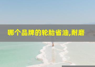 哪个品牌的轮胎省油,耐磨