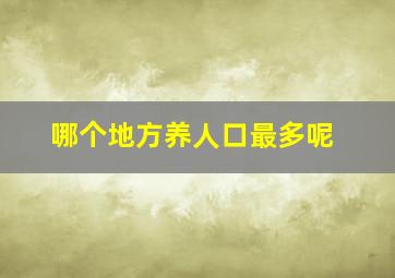 哪个地方养人口最多呢