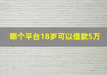 哪个平台18岁可以借款5万