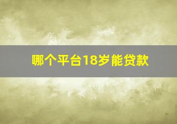 哪个平台18岁能贷款