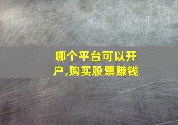 哪个平台可以开户,购买股票赚钱