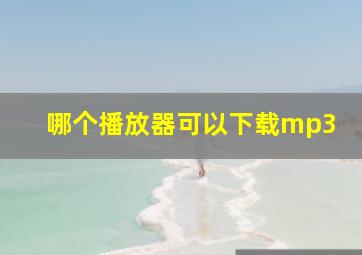 哪个播放器可以下载mp3