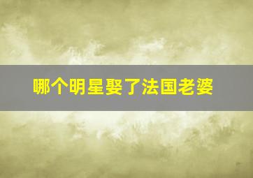 哪个明星娶了法国老婆