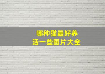 哪种猫最好养活一些图片大全