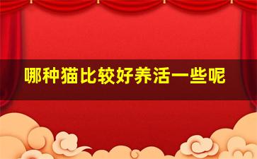 哪种猫比较好养活一些呢