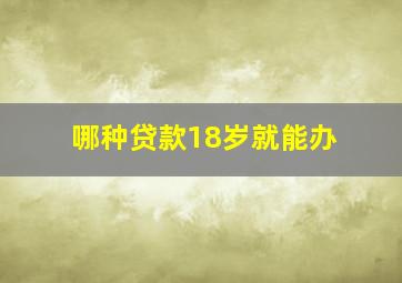 哪种贷款18岁就能办