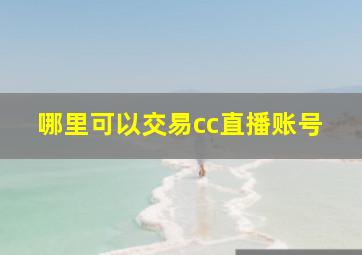 哪里可以交易cc直播账号