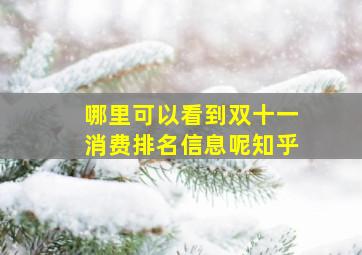 哪里可以看到双十一消费排名信息呢知乎