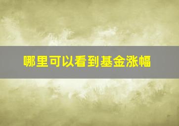 哪里可以看到基金涨幅