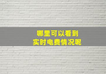 哪里可以看到实时电费情况呢