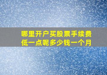 哪里开户买股票手续费低一点呢多少钱一个月