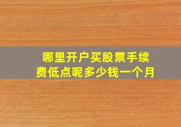 哪里开户买股票手续费低点呢多少钱一个月