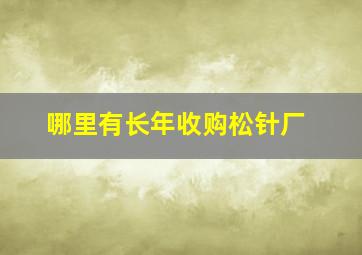 哪里有长年收购松针厂