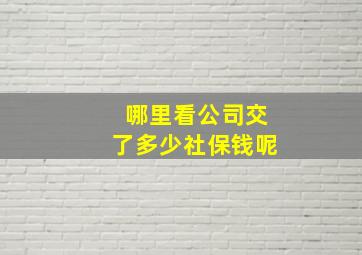 哪里看公司交了多少社保钱呢