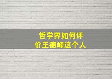 哲学界如何评价王德峰这个人