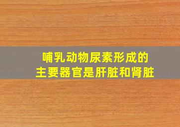 哺乳动物尿素形成的主要器官是肝脏和肾脏