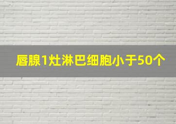 唇腺1灶淋巴细胞小于50个