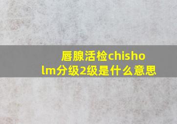 唇腺活检chisholm分级2级是什么意思