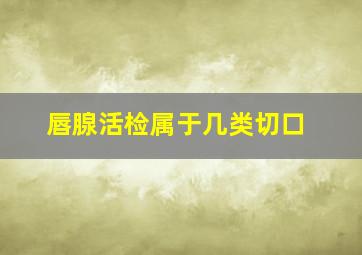 唇腺活检属于几类切口