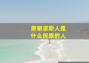 唐朝波斯人是什么民族的人