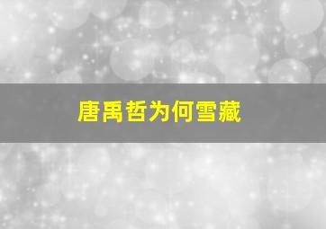 唐禹哲为何雪藏