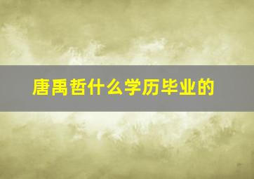 唐禹哲什么学历毕业的