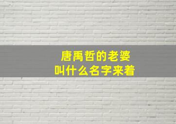 唐禹哲的老婆叫什么名字来着