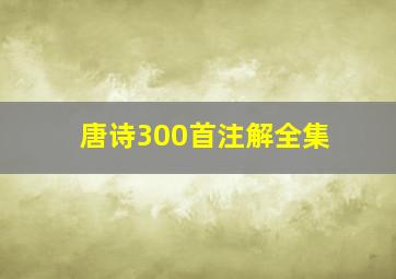 唐诗300首注解全集