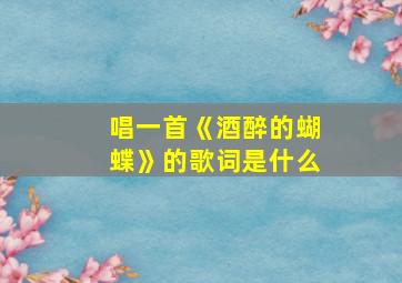 唱一首《酒醉的蝴蝶》的歌词是什么