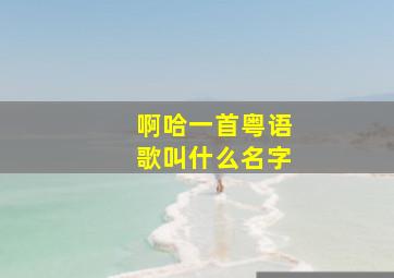 啊哈一首粤语歌叫什么名字